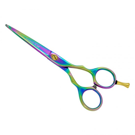 Professional Hair Cutting Scissors