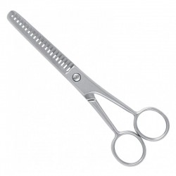 Economy Hair Scissors