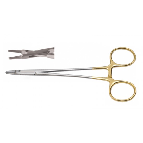 General Forceps
