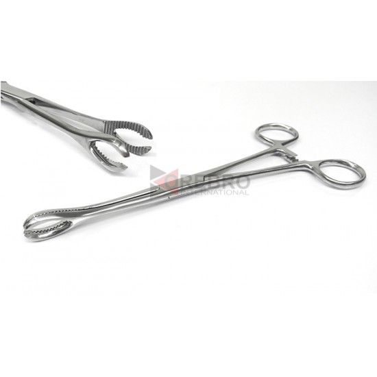 Forester(Sponge) Forceps, Slotted